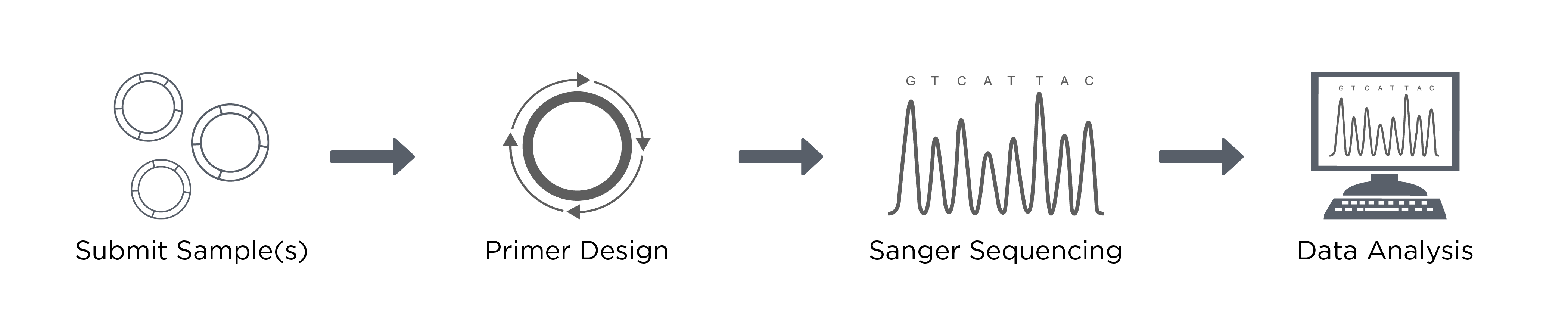 Primer Walking + AAVITR 25 Off